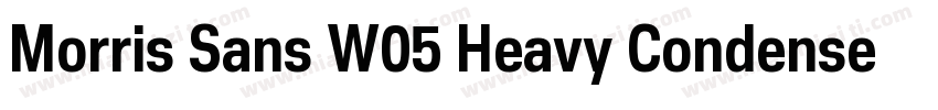 Morris Sans W05 Heavy Condensed字体转换